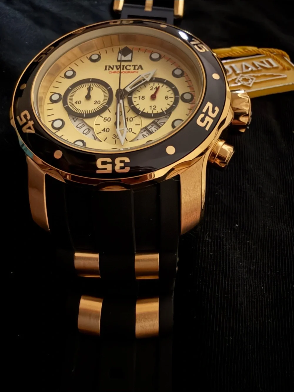 Invicta pro diver